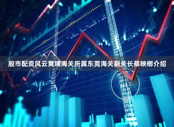 股市配资风云黄埔海关所属东莞海关副关长蔡映榔介绍