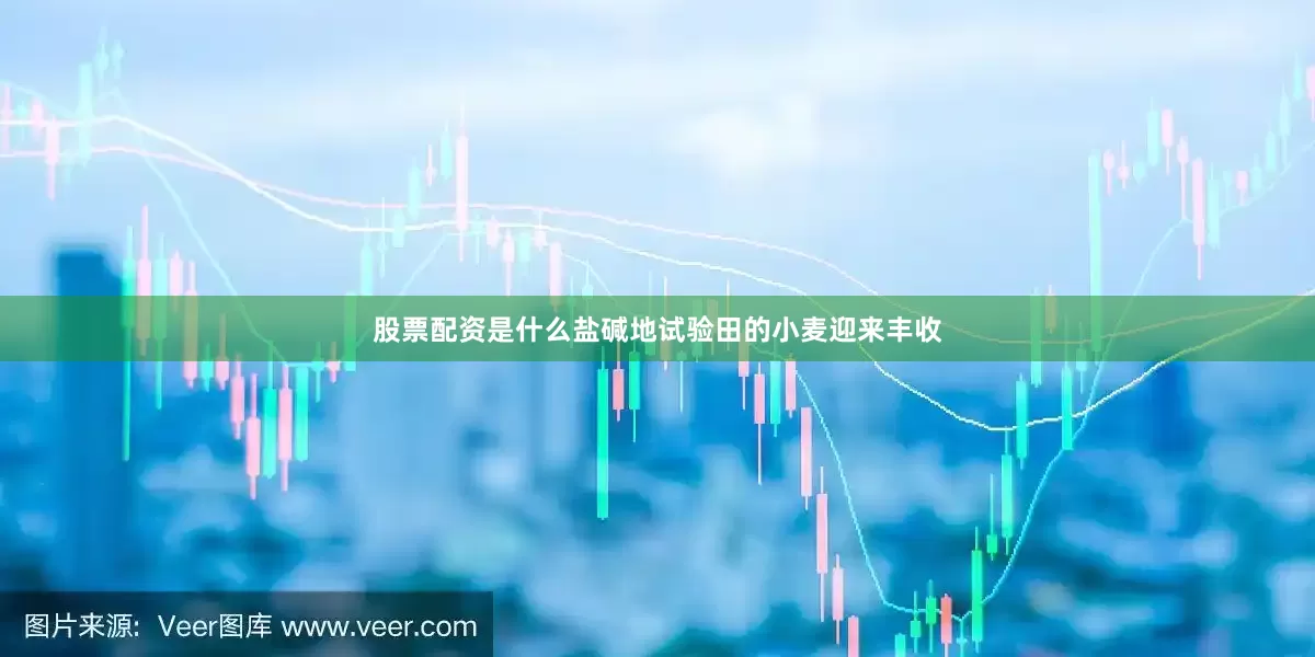 股票配资是什么盐碱地试验田的小麦迎来丰收