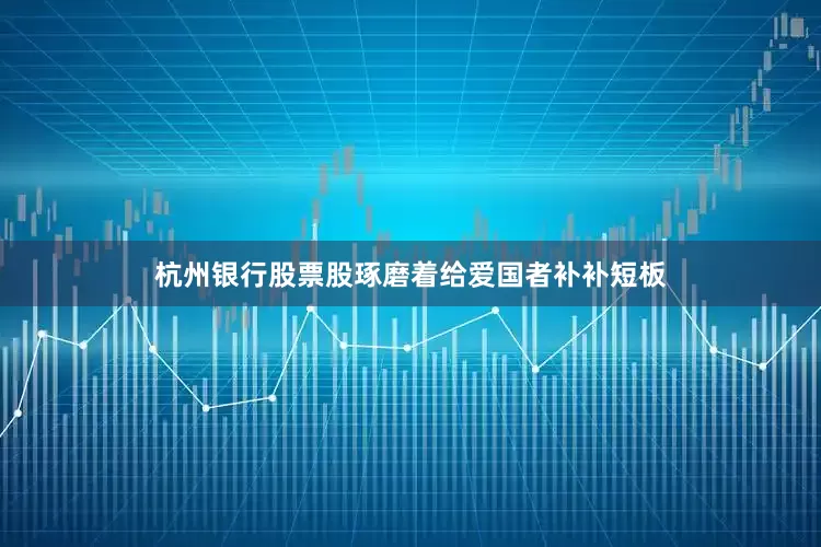 杭州银行股票股琢磨着给爱国者补补短板