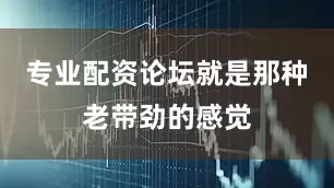 专业配资论坛就是那种老带劲的感觉